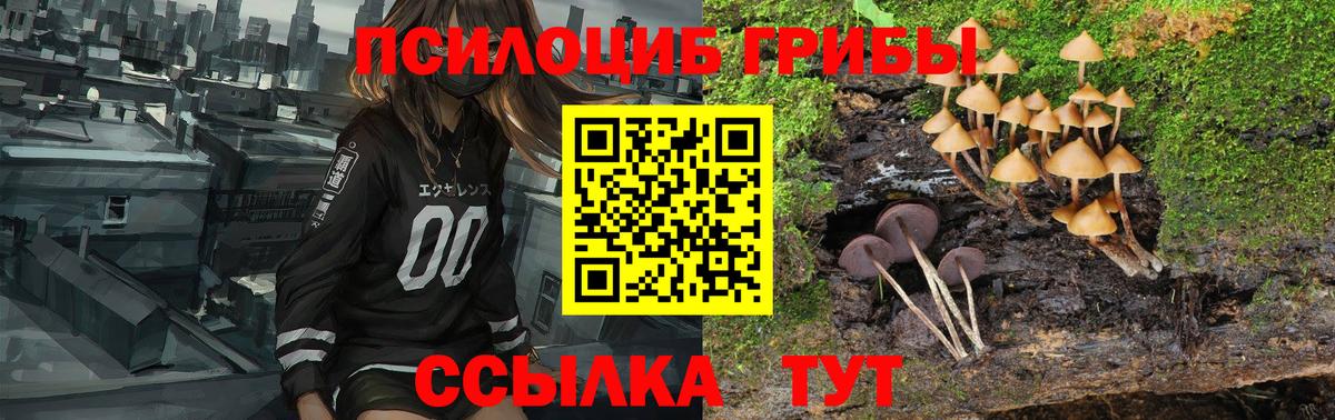 Псилоцибиновые грибы мицелий  Вход с VPN  Гагарин  Галлюциногенные грибы Psilocybine cubensis 