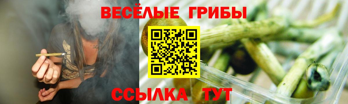 Псилоцибиновые грибы мухоморы Гагарин